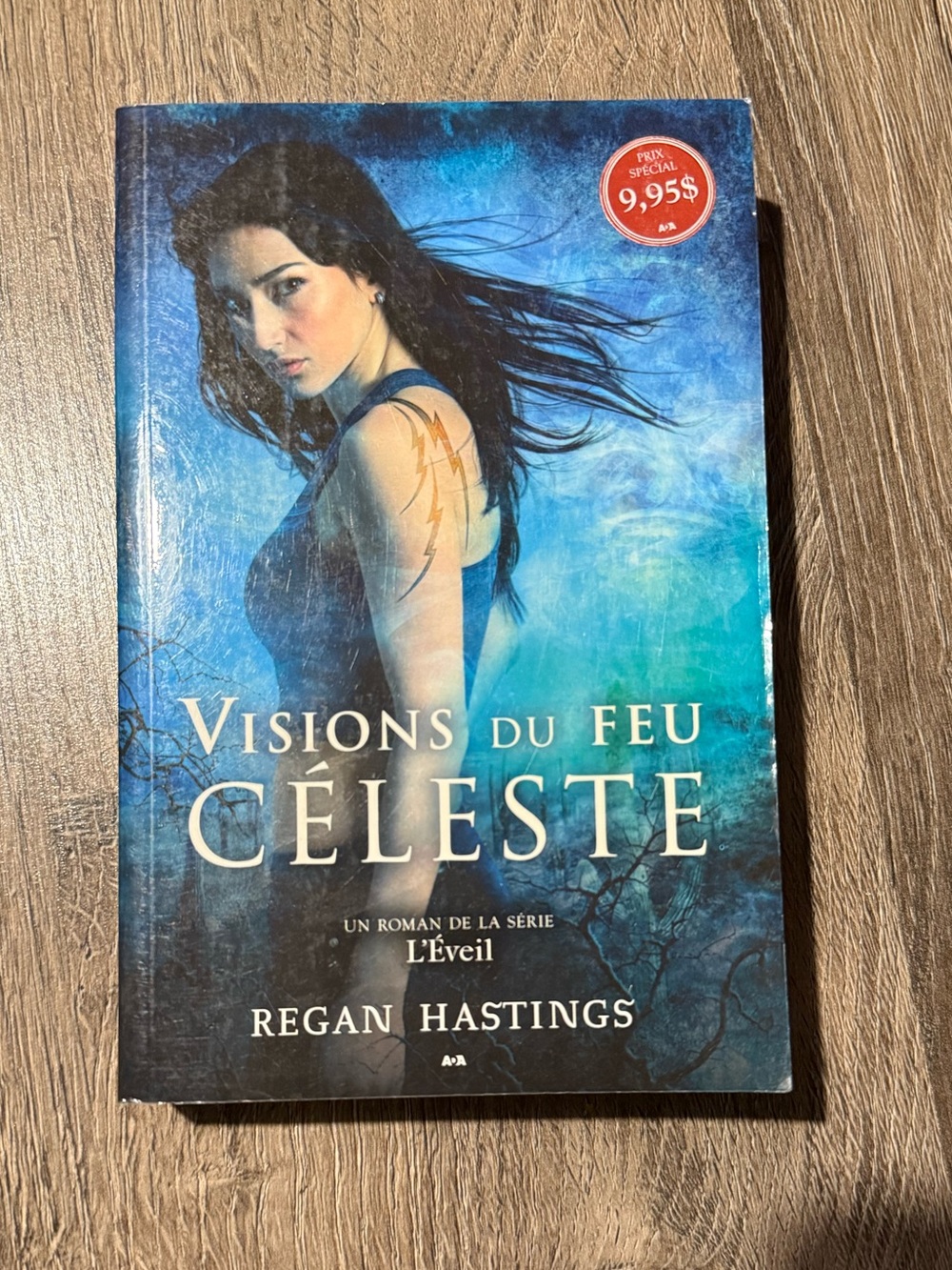 Visions du Feu Céleste by Regan Hastings - Paperback - Tome 2
